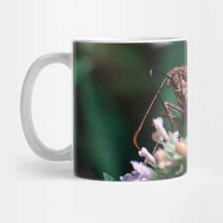 Silver-Spotted Skipper Butterfly. Macro Photograph Mug